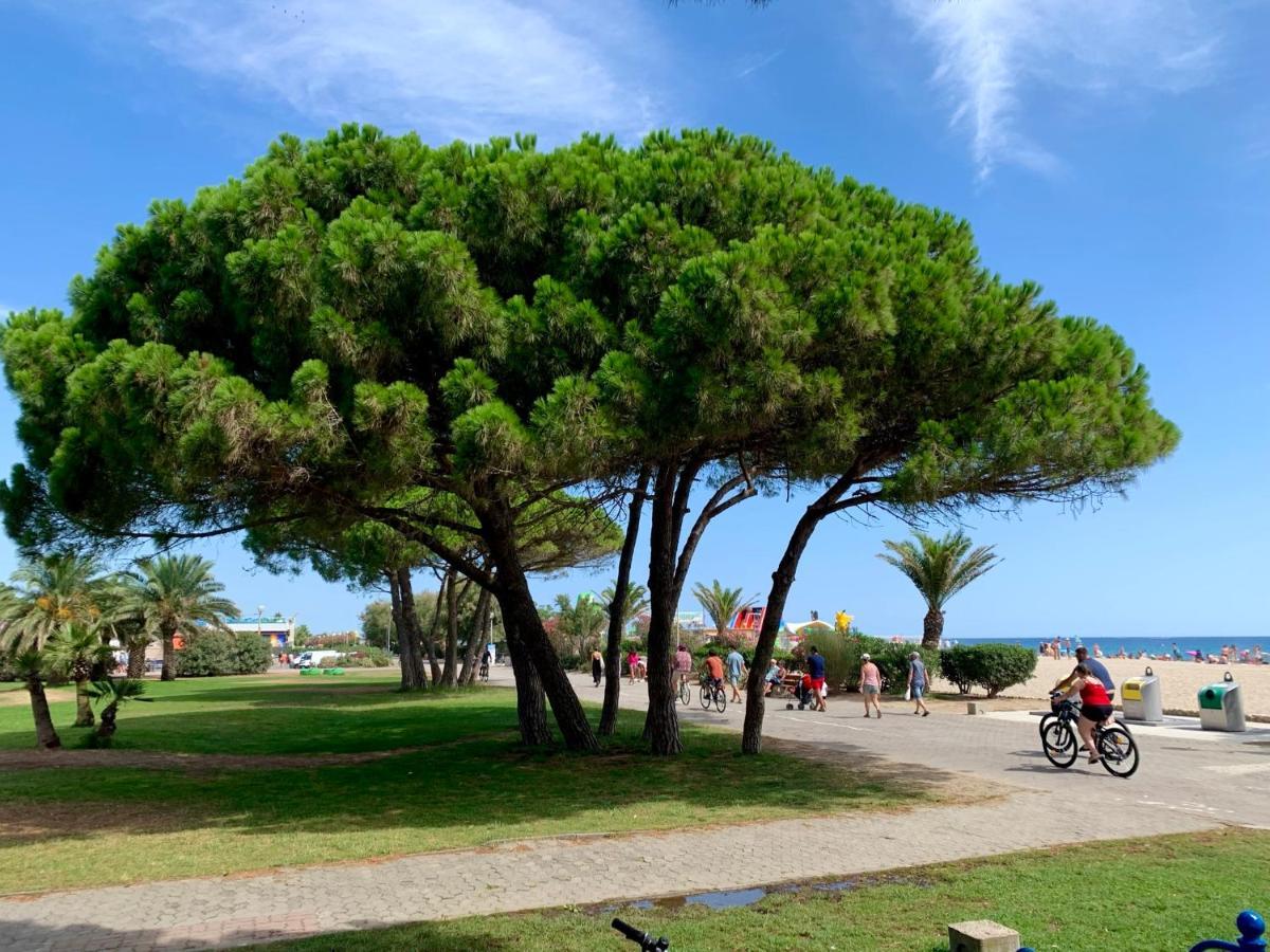 Superbe Appartement Neuf Entre Mer Et Pins Wifi Argelès-sur-Mer Eksteriør bilde
