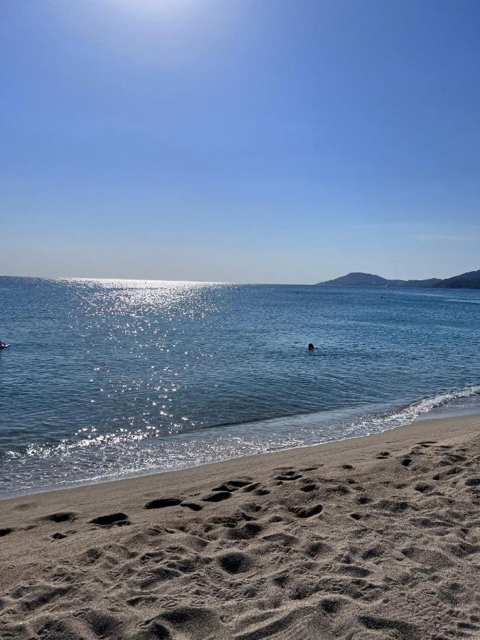 Superbe Appartement Neuf Entre Mer Et Pins Wifi Argelès-sur-Mer Eksteriør bilde