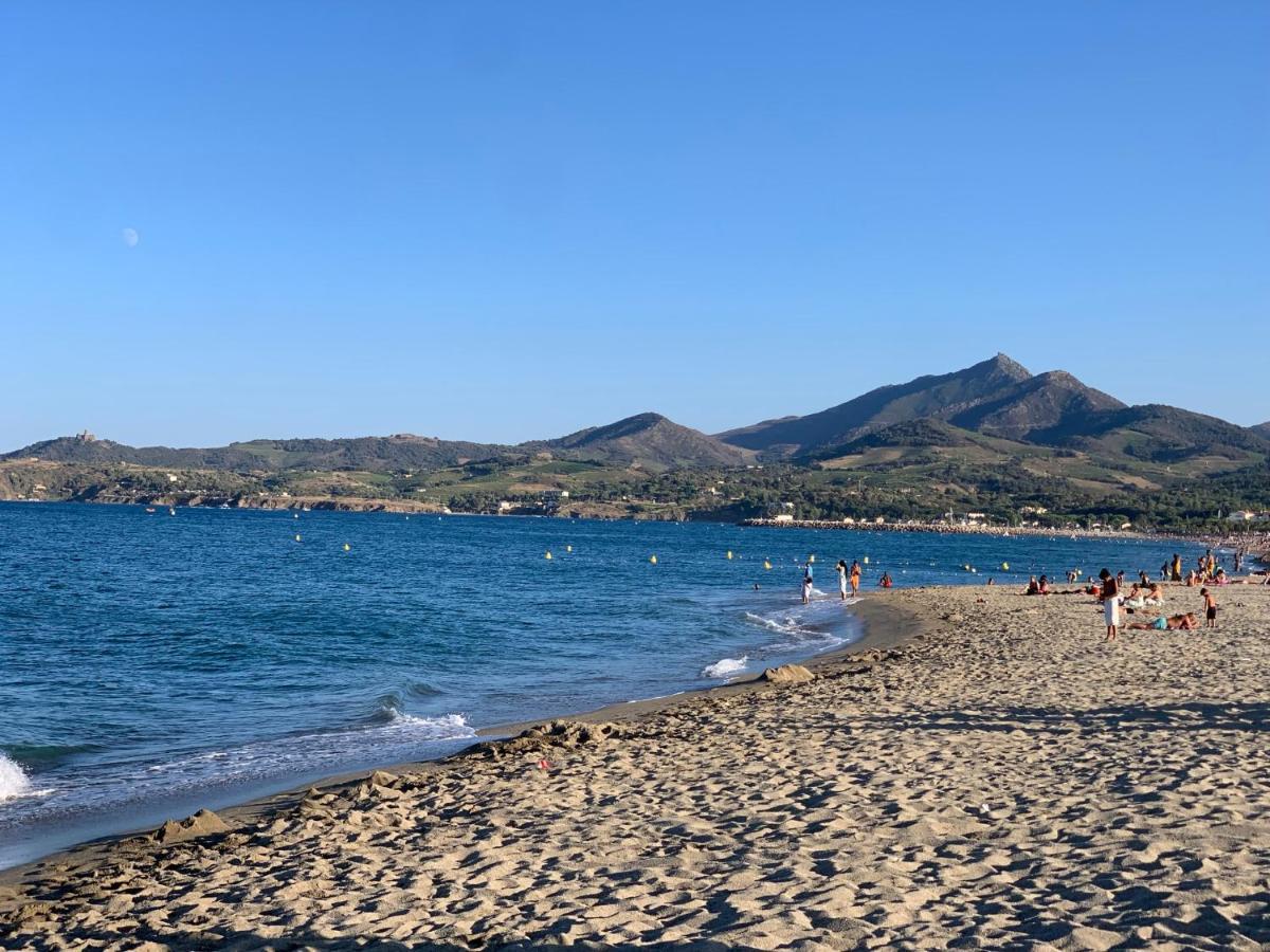 Superbe Appartement Neuf Entre Mer Et Pins Wifi Argelès-sur-Mer Eksteriør bilde