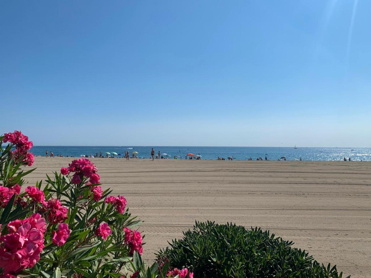 Superbe Appartement Neuf Entre Mer Et Pins Wifi Argelès-sur-Mer Eksteriør bilde
